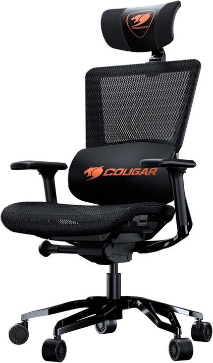 Actual product image Cougar Argo