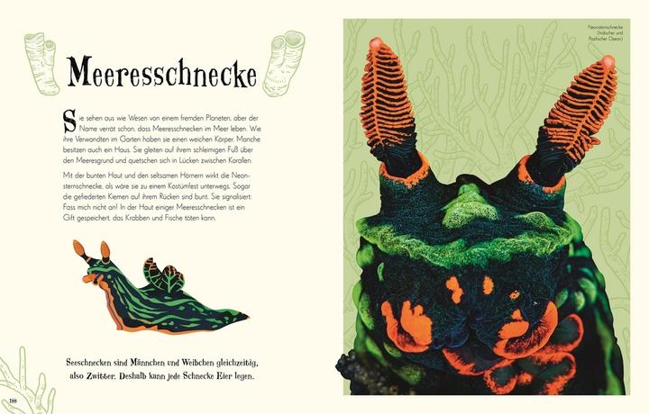 Produktbild Wundervolle Welt der Tiere (Deutsch, Ben Hoare, 2019)