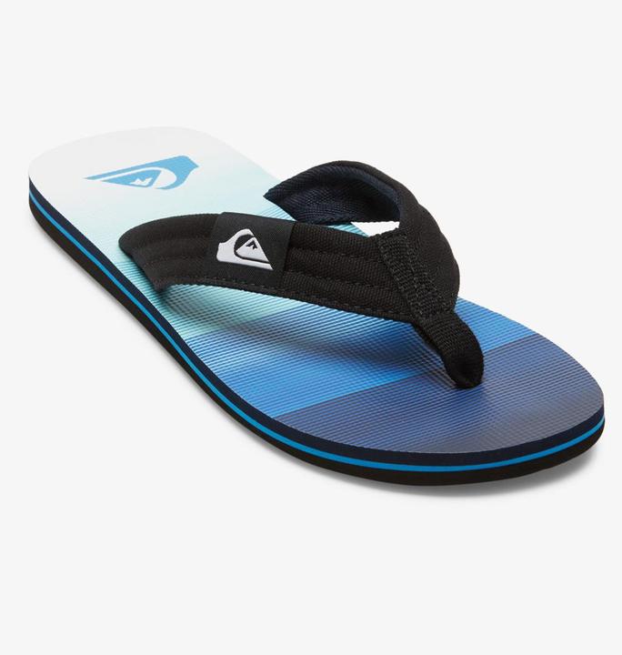Image du produit Quiksilver Molokai Layback II (45)