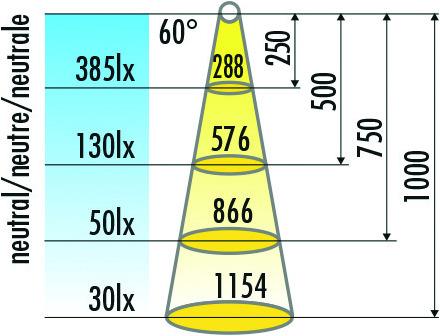Immagine prodotto Halemeier Set di luci a LED a superficie SwanLite luce di lettura 12 V (100 lm)