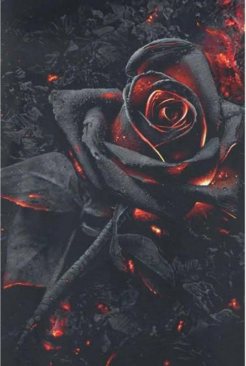 Immagine prodotto Spiral Top Rosa Bruciata Senza Maniche Donna (S)