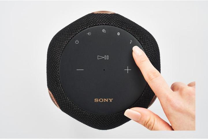 Actual product image Sony SRS-RA3000 (Electrical connection)