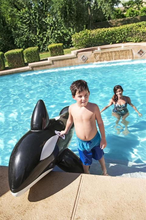 Actual product image Bestway Floating animal