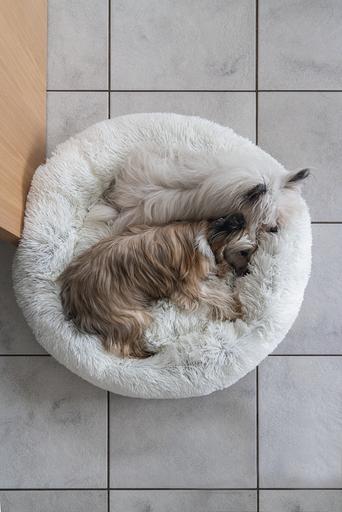 Produktbild Karlie Agnes (Hund)