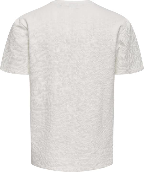 Image du produit Only & Sons Onskian Life Reg Seersucker Ss Tee (XS)
