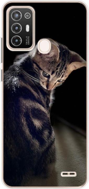 Young cat