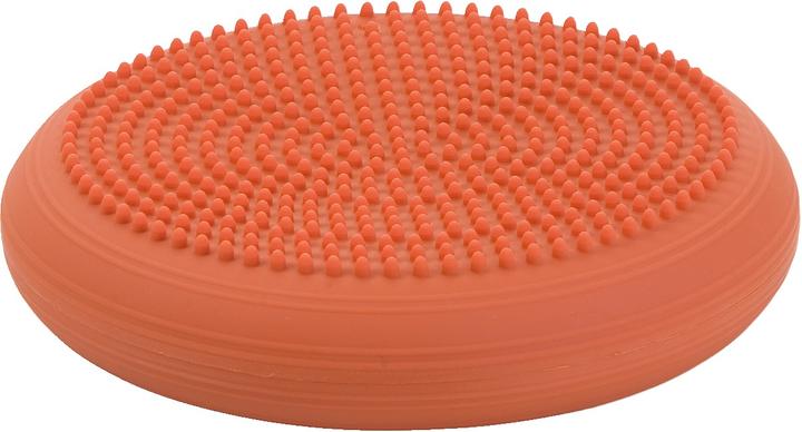 Produktbild Togu Dynair Ballkissen Senso 33 cm