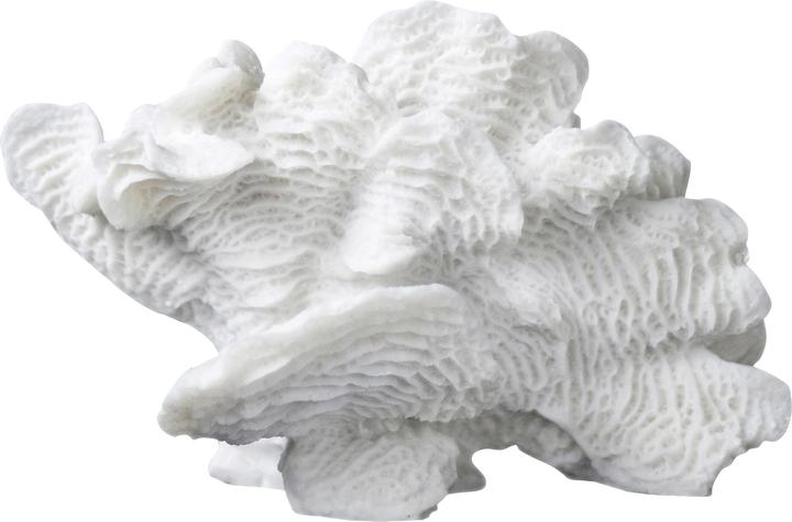 Actual product image Mette Ditmer Coral (13 x 24 x 16 cm)
