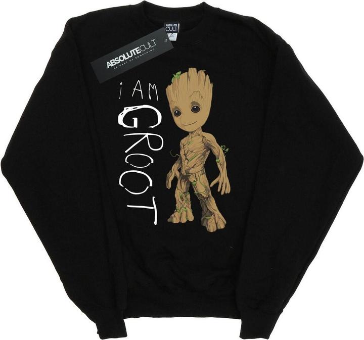 Produktbild Guardians Of The Galaxy I Am Groot Scribbles Sweatshirt Mädchen (152, 158)