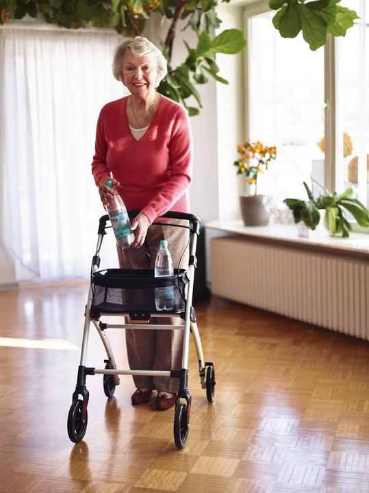 Produktbild Ridder Indoor