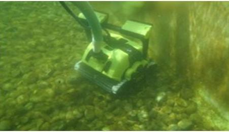 Actual product image Dolphin Bio Suction mit Caddy