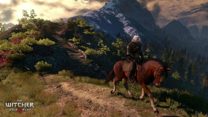 Actual product image Bandai Namco The Witcher 3: Wild Hunt - GOTY Edition (PC, Multilingual)