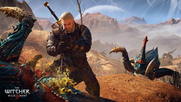 Actual product image Bandai Namco The Witcher 3: Wild Hunt - GOTY Edition (PC, Multilingual)