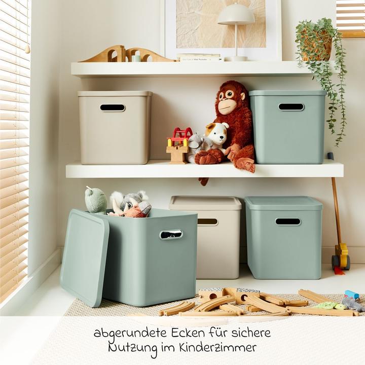 Produktbild Rotho Babydesign Spielzeugbox KAYO L Cappuccino