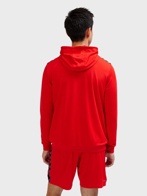 Actual product image hummel Hmlauthentic Pl Zip Hoodie (M)