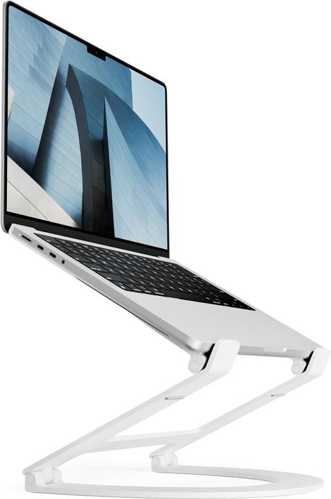 TwelveSouth Curve Flex