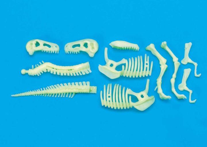 Produktbild Brainstorm T-Rex Skelett Glow in the Dark