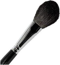Actual product image Parisax Blush Brush 20x40mm