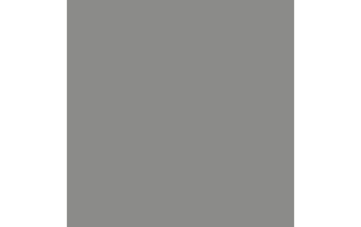 Immagine prodotto Cricut Pellicola da stiro Infusible Ink, 30,5 x 30,5 cm, 2 pezzi, Grigio