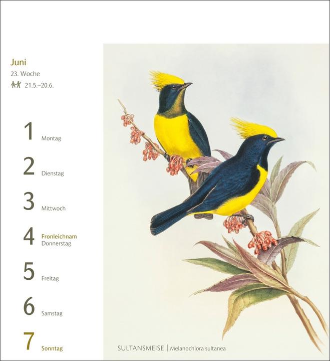 Actual product image Harenberg Vögel Postkartenkalender 2026 - Postkartenkalender mit 53 historischen Zeichnungen (Hardcover, German)