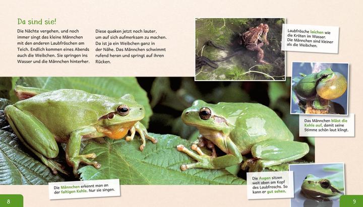 Produktbild Meine grosse Tierbibliothek: Der Frosch (Deutsch, Paul Starosta, 2020)