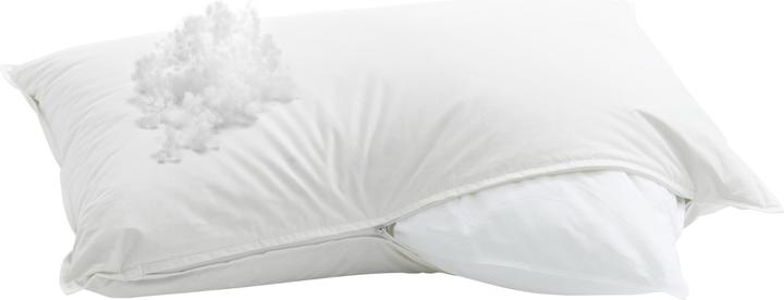 Immagine prodotto Billerbeck Casa Fibra (60 x 90 cm)
