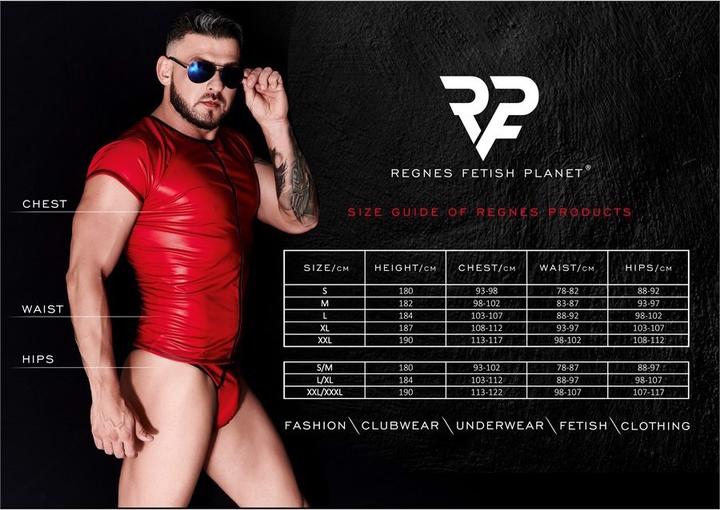 Actual product image Regnes Fetish Planet Men suspender belt with panties (L)