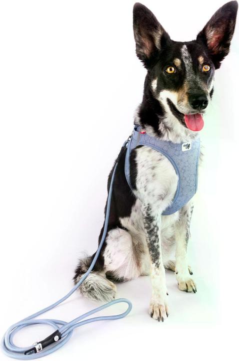 Image du produit Curli Harnais Vest Air-Mesh L SE24, Bleu Élémentaire (L, Chien, Général)