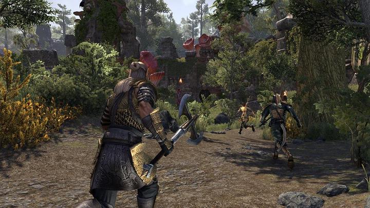 Image du produit Bethesda L'aîné des parchemins en ligne : Morrowind (PS4, DE)