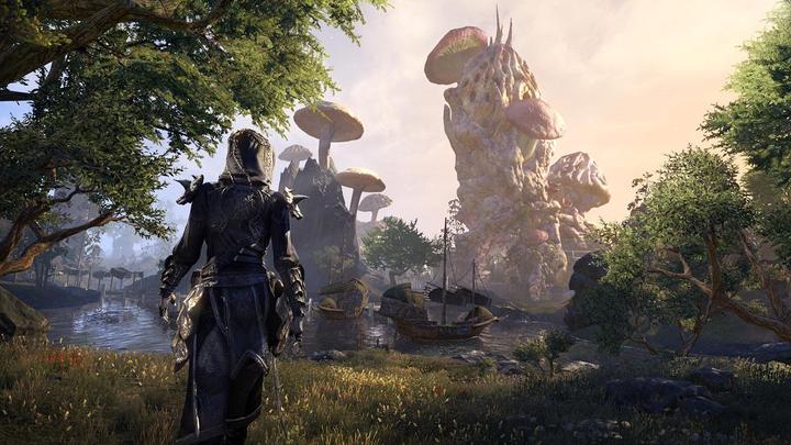 Image du produit Bethesda L'aîné des parchemins en ligne : Morrowind (PS4, DE)