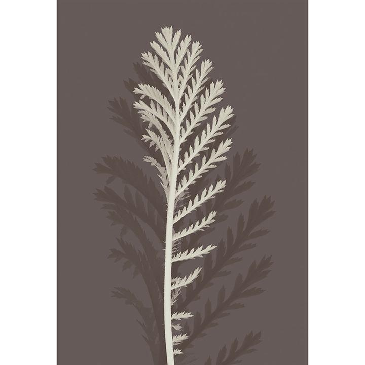 Immagine prodotto Universal Textiles Sagoma di stelo stampata Iii (40 x 30 cm)
