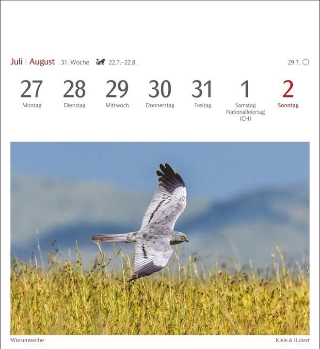Immagine prodotto Harenberg Heimische Vögel Postkartenkalender 2026 - Wochenkalender mit 53 Postkarten (Tedesco)