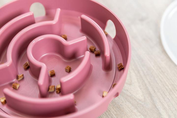 Actual product image Trixie Cat Activity Rocking Maze