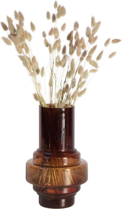 Image du produit Plant in a Box - (50 cm)