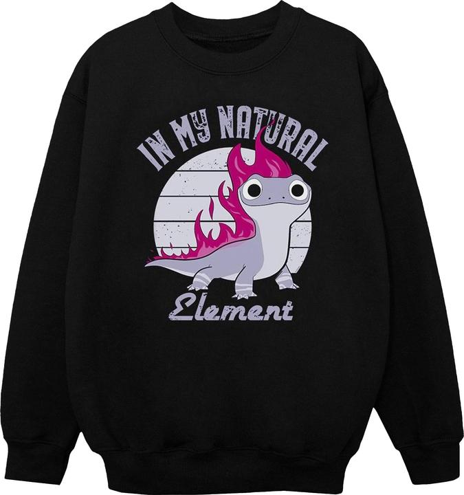 Disney Frozen 2 Salamander Bruni Element Sweatshirt Jungen
