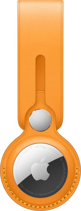 Image du produit Apple Boucle