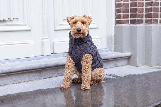 Produktbild Designed by Lotte Hundepullover Haida (32, Hundepullover)