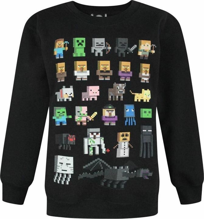 Minecraft Sweatshirt Jungen