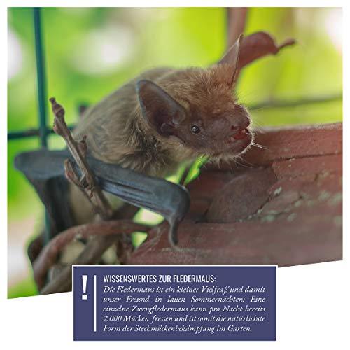 Actual product image Wildtier Herz Large bat box
