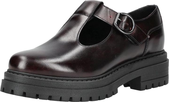 Bordo 613