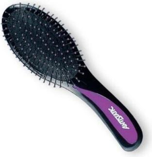TOP Popular Hairbrush 2731