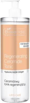 Actual product image NoName Professional Lipid Care Regenerating Tonic 500ml (Tonic water, 500 ml)