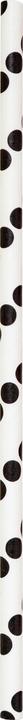 Actual product image Folia Straws (25 x)