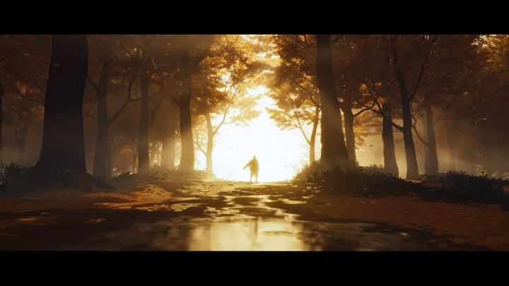 Image du produit Sony Ghost of Tsushima (PS4, Multilingue)