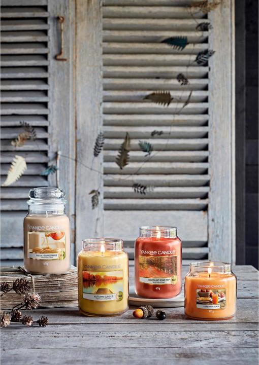 Actual product image Yankee Candle Woodland Road Trip (623 g)
