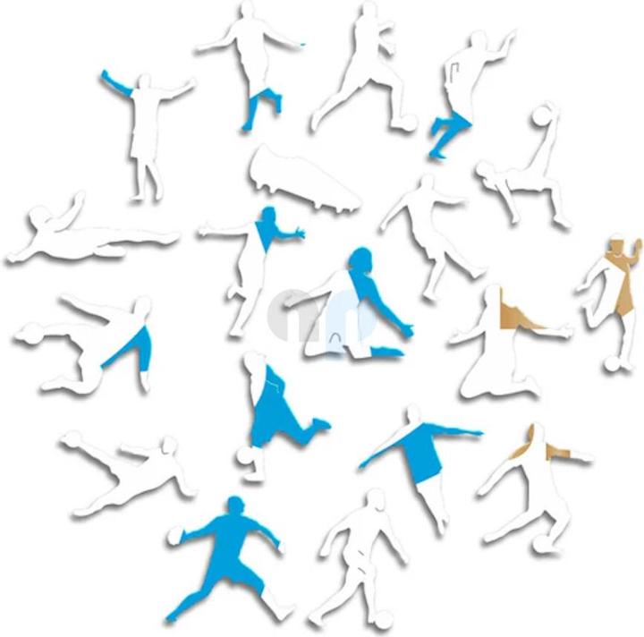 Actual product image Iconic Olympique Marseille - logo - wooden puzzle size M (270 pieces) (270 pieces)