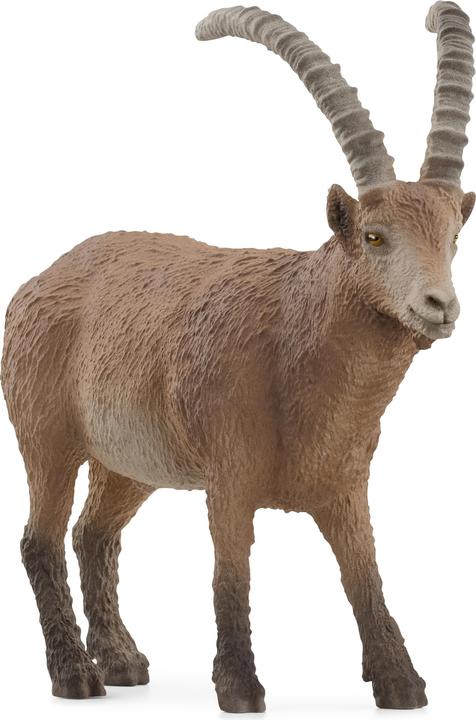 Actual product image Schleich Capricorn
