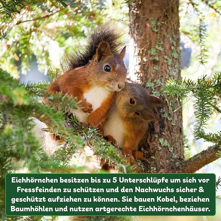 Image du produit Erdenfreund Nichoir à écureuils