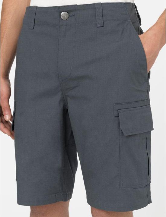 Actual product image Dickies Millerville Short (30)