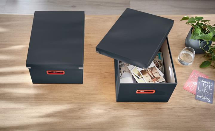 Immagine prodotto Leitz CLICK & STORE COSY - Scatola media (A4)